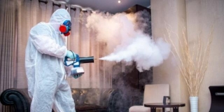 What Is Fogging And Why Is Disinfection Important?