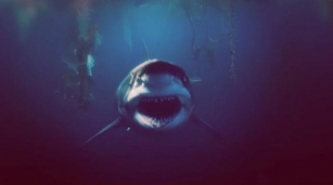 ‘Under Paris’ Sequel Predictions & Possibilities: Will The Sharks Infest The Whole World?
