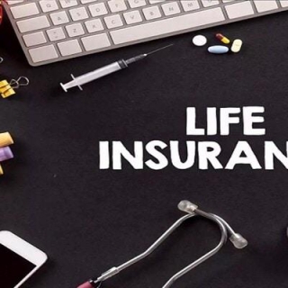 Dixon Tech, Indus Towers Among Top Bets Of Insurance Companies In April 2024