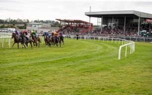 Horse Racing Tips: A 7/2 NAP Tops Our Best Roscommon Bets Today
