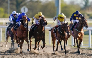 Horse Racing Tips: A 3/1 NAP Tops Our Best Chelmsford Bets Tonight