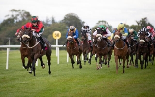 Horse Racing Tips: A 10/1 Shout Tops Our Sunday Selections At Sligo