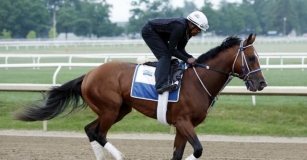 Belmont Stakes Picks: Top Horse Racing Betting Picks For The Belmont Stakes On DK Horse