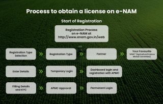 How To Get A License On E-Nam?