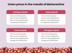 Rising Onion Prices And Its Impact On Exports