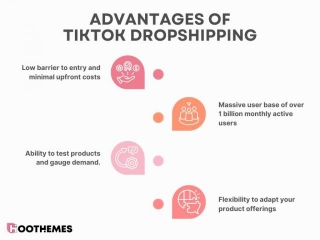 Ultimate TikTok Dropshipping Strategies & How To Collaborate W/ Influencers [2024]