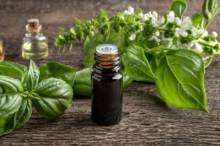 Harnessing The Power Of Essential Oils To Achieve Your Goals In 2024