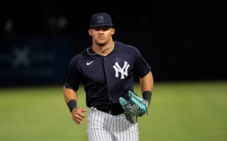 Jasson Dominguez May Begin Rehab Games This Month For Yankees