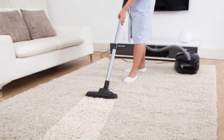 Top 10 Tips To Remove Pet Hair From Carpet