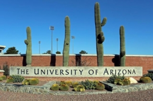 College Of Arizona Tasks Persevering With Money Pressure