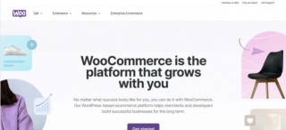 Shopify Vs WooCommerce: A Deep-dive Guide To Help You Choose The Right Fit In 2024