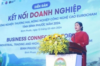 Binh Phuoc Province Invites Investment From EU Companies