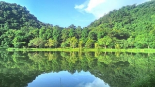 Escape To Serenity: Embark On A Tranquil Retreat In Cuc Phuong National Park