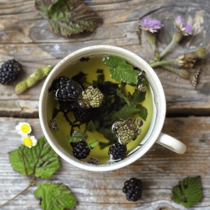 Discover The Health-Boosting Magic Of Blackberry Leaves