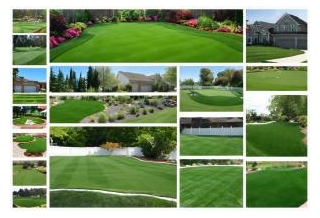 Turf Masters Reviews: What Customers Are Saying