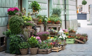 How To Start A Profit-Driven Online Flower Business In 2024?