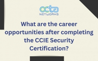 What Are The Career Opportunities After Completing The CCIE Security Certification?
