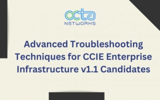 Advanced Troubleshooting Techniques For CCIE Enterprise Infrastructure V1.1 Candidates