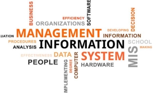 Pengembangan Sistem Informasi Manajemen: Inovasi Untuk Efisiensi Bisnis