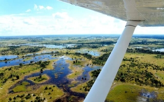 Exploring The Jewel Of Africa: Discover The Mesmerizing Beauty Of The Okavango Delta