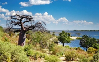 Onthulling Van Botswana: Een Tapijt Van Wilde Dieren, Cultuur En Luxe
