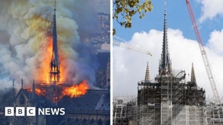 Notre-Dame's Transformation Five Years After Fire