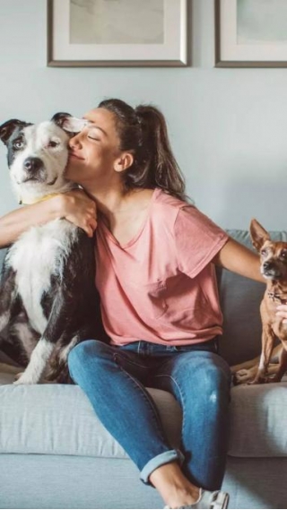7 Reasons Why One Should Adopt A Pet