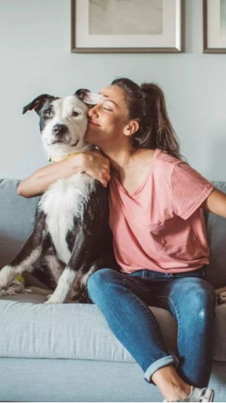 10 Signs Your Pet Dog Loves You