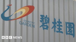 Country Garden: China Property Giant Hit With Winding-up Petition