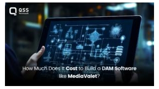 How Much Does It Cost To Build A DAM Software Like MediaValet?
