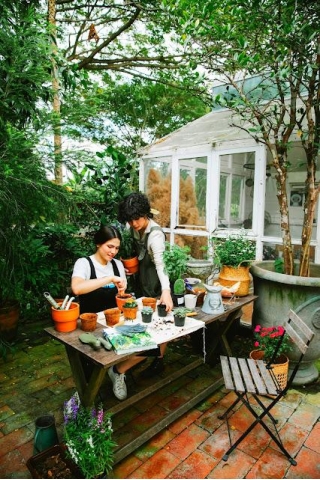 Planning Your Mini Garden Space And Creating   Your Own Oasis: