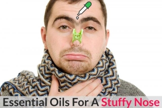 Is Your Schnoz Being A Schmuck? Make It Behave Itself With Essential Oils For A Stuffy Nose!