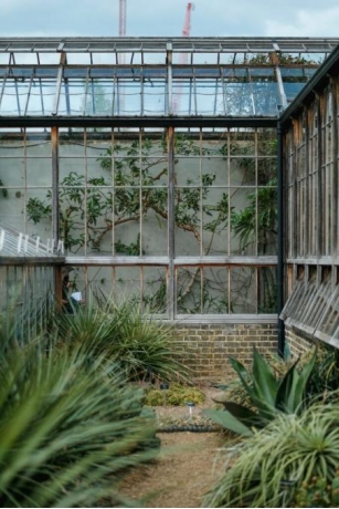Finding The Best Greenhouse Or Glasshouse For Plants