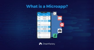 Apa Itu | Kelebihan | Micro Apps  | Contoh Perusahaan Menggunakan Micro Apps