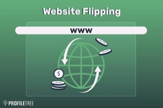 Get Paid To Flip Websites Or Domains | Website Flipping