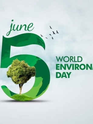 World Environment Day Drawings To Inspire A Much Needed Change