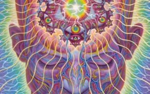 The Sacred Mirrors, The Visionary Art of Alex Grey