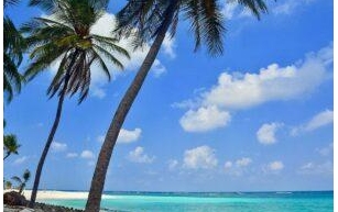 7-day Lakshadweep itinerary To Experience a Tropical Paradise Adventure