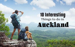 10 Most Interesting Things To Do In Auckland, New Zealand