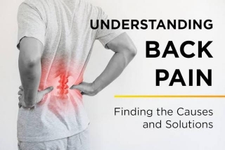 What Are The Causes For Back Pain? - ISA ADISA