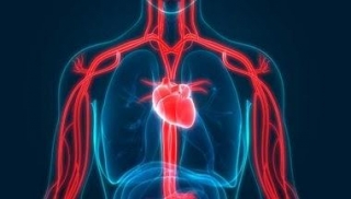Fight Inflammation To Help Prevent Heart Disease