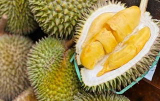 Durian: Antara Pro Kontra & Fakta Mengejutkan