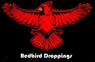Redbird Droppings: Edman, Carlson, 2024 Rotation Depth