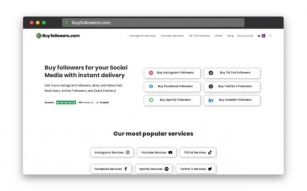 Buyfollowers.com Best Viralyft Alternative To Buy Followers