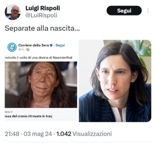 Napoli, Luigi Rispoli (FdI) Paragona Schlein A Donna Di Neanderthal: 