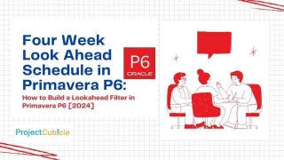 Four Week Look Ahead Schedule In Primavera P6: How To Build A Lookahead Filter In Primavera P6