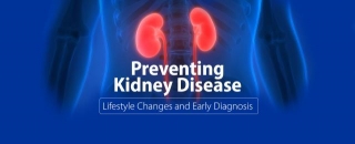Preventing Kidney Disease: Lifestyle Changes And Early Diagnosis