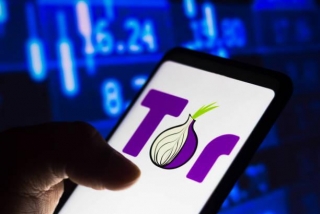 What Is Tor Browser: What Is It, How Does It Work, Is It Safe, And What Is It Used For?