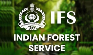 Indian Forest Service (IFS) Result Declared - Check Result Here