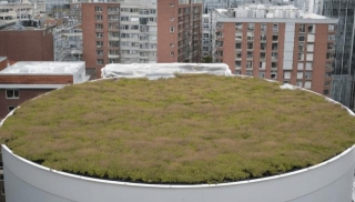 Flourishing Future: Building Green Roofs With Bioplastics